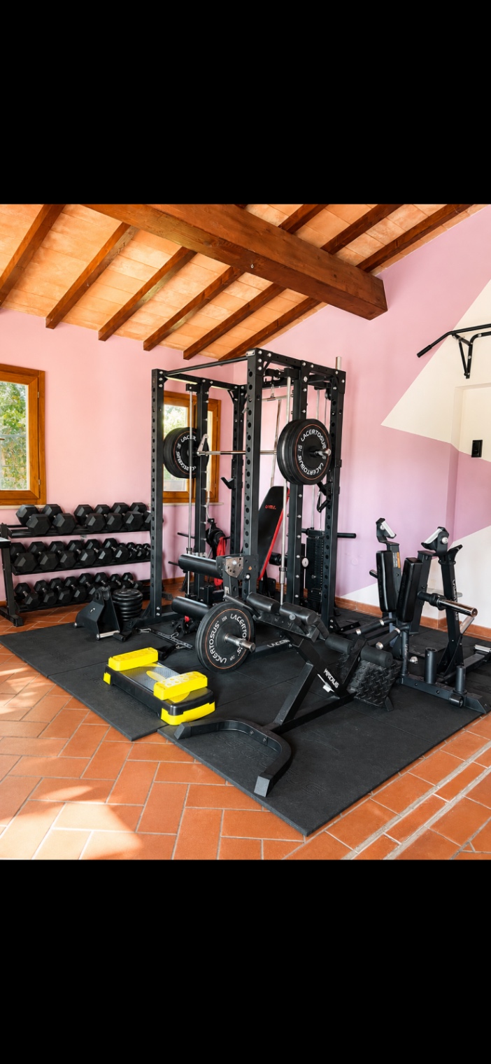 Home Gym Professionale LACERTOSUS Completa – Pari al Nuovo