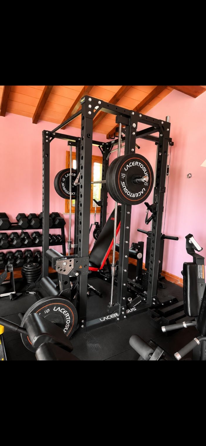 Home Gym Professionale LACERTOSUS Completa – Pari al Nuovo - foto 2