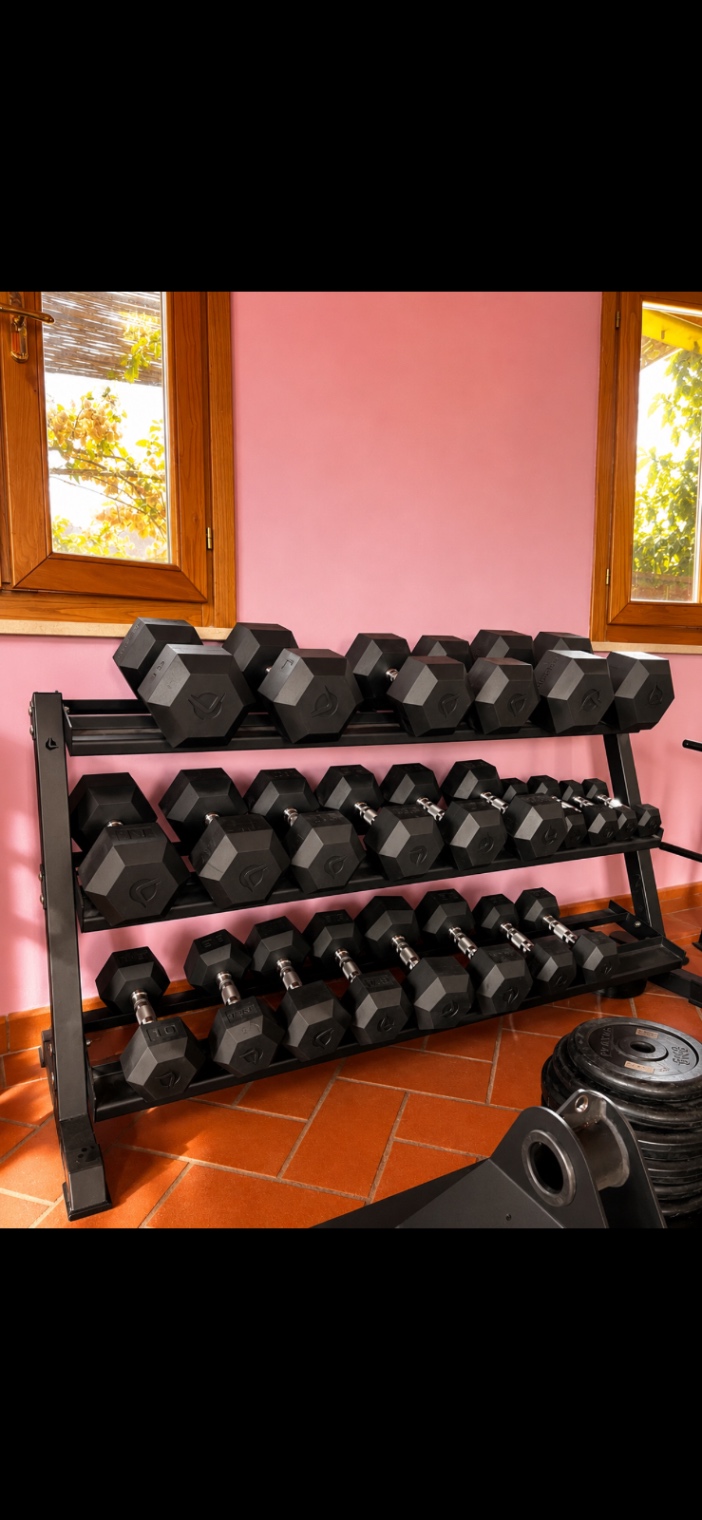 Home Gym Professionale LACERTOSUS Completa – Pari al Nuovo - foto 3