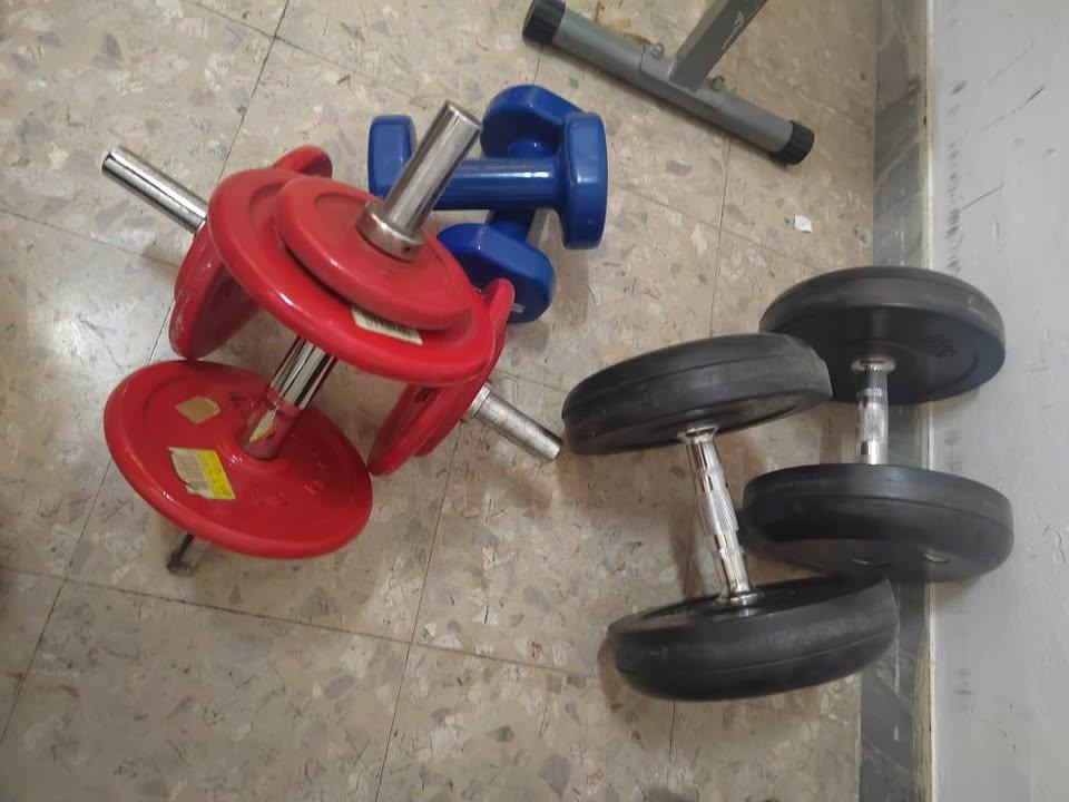 PANCHE, BILANCERI, MANUBRI, DISCHI - foto 5