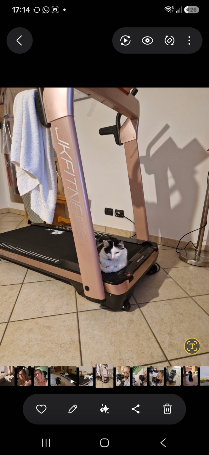Tapis roulant JK FITNESS ROSA - foto 2
