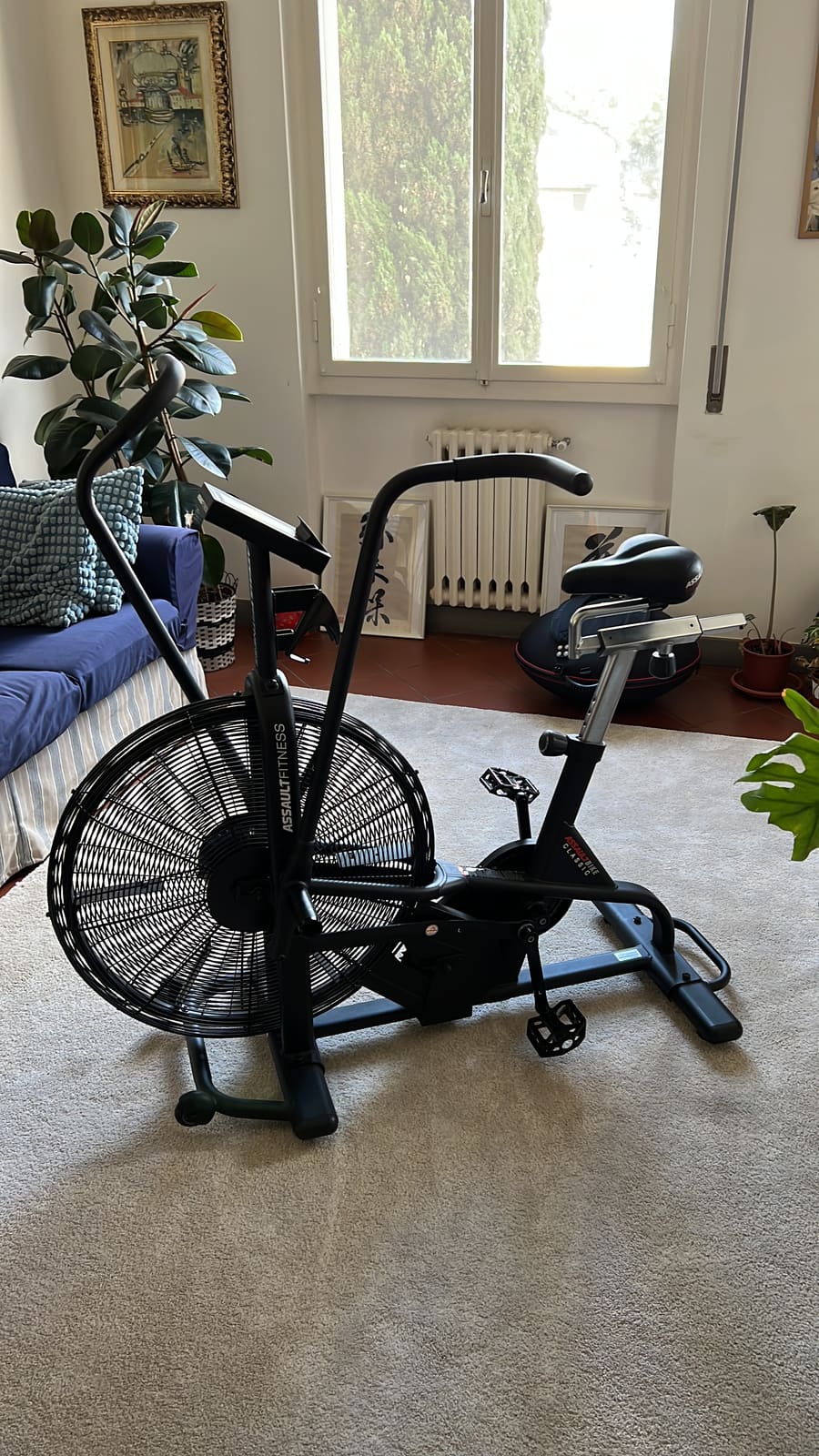 Air bike lacertosus
