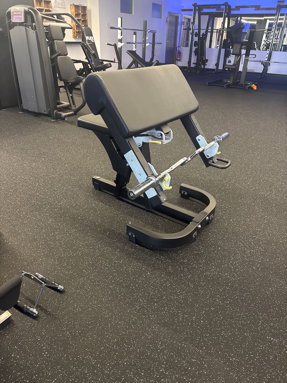 Panca scott technogym pure strength