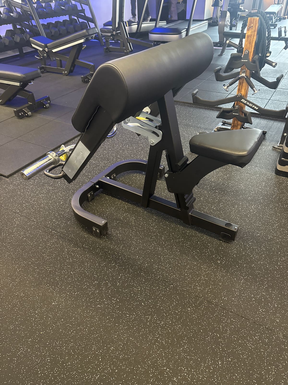 Panca scott technogym pure strength - foto 2