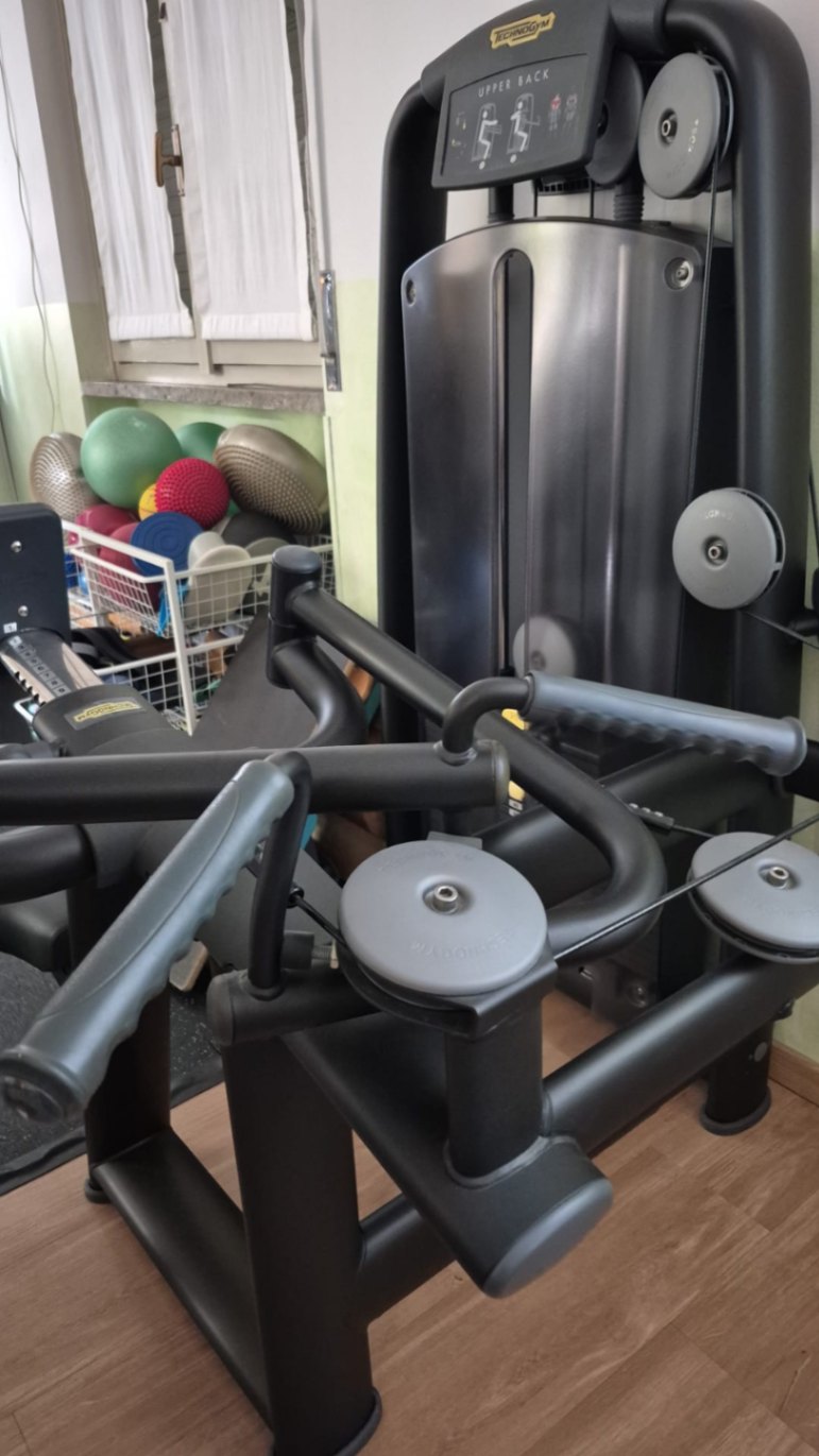 TECHNOGYM UPPER BACK SELECTION PROFESSIONALE - foto 2