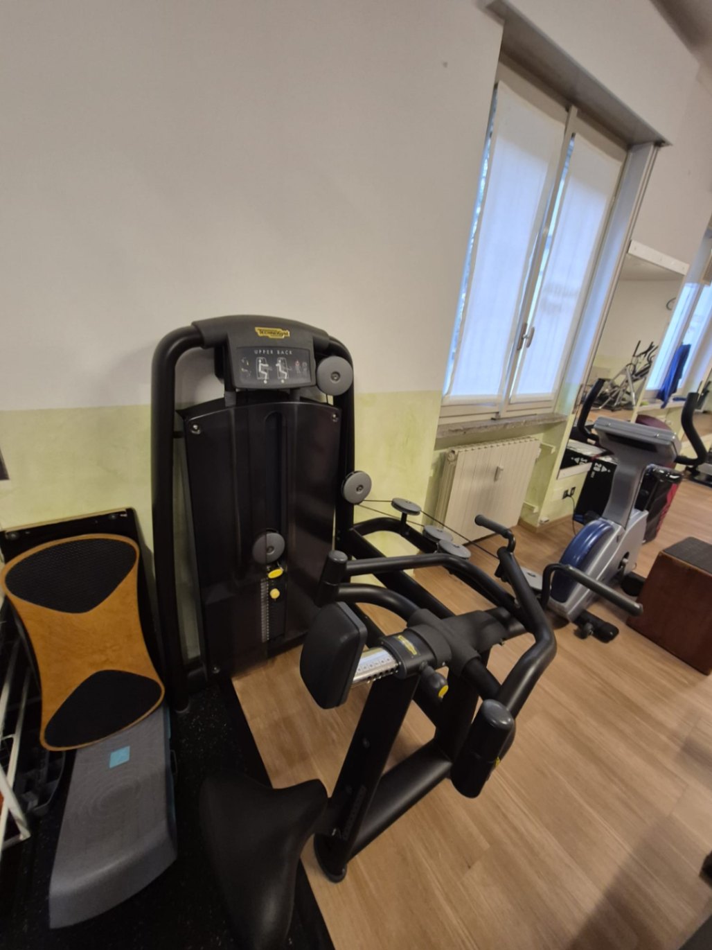 TECHNOGYM UPPER BACK SELECTION PROFESSIONALE - foto 3