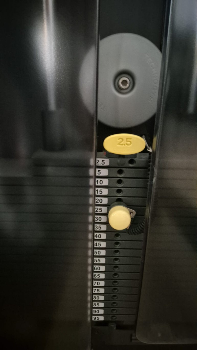TECHNOGYM UPPER BACK SELECTION PROFESSIONALE - foto 4