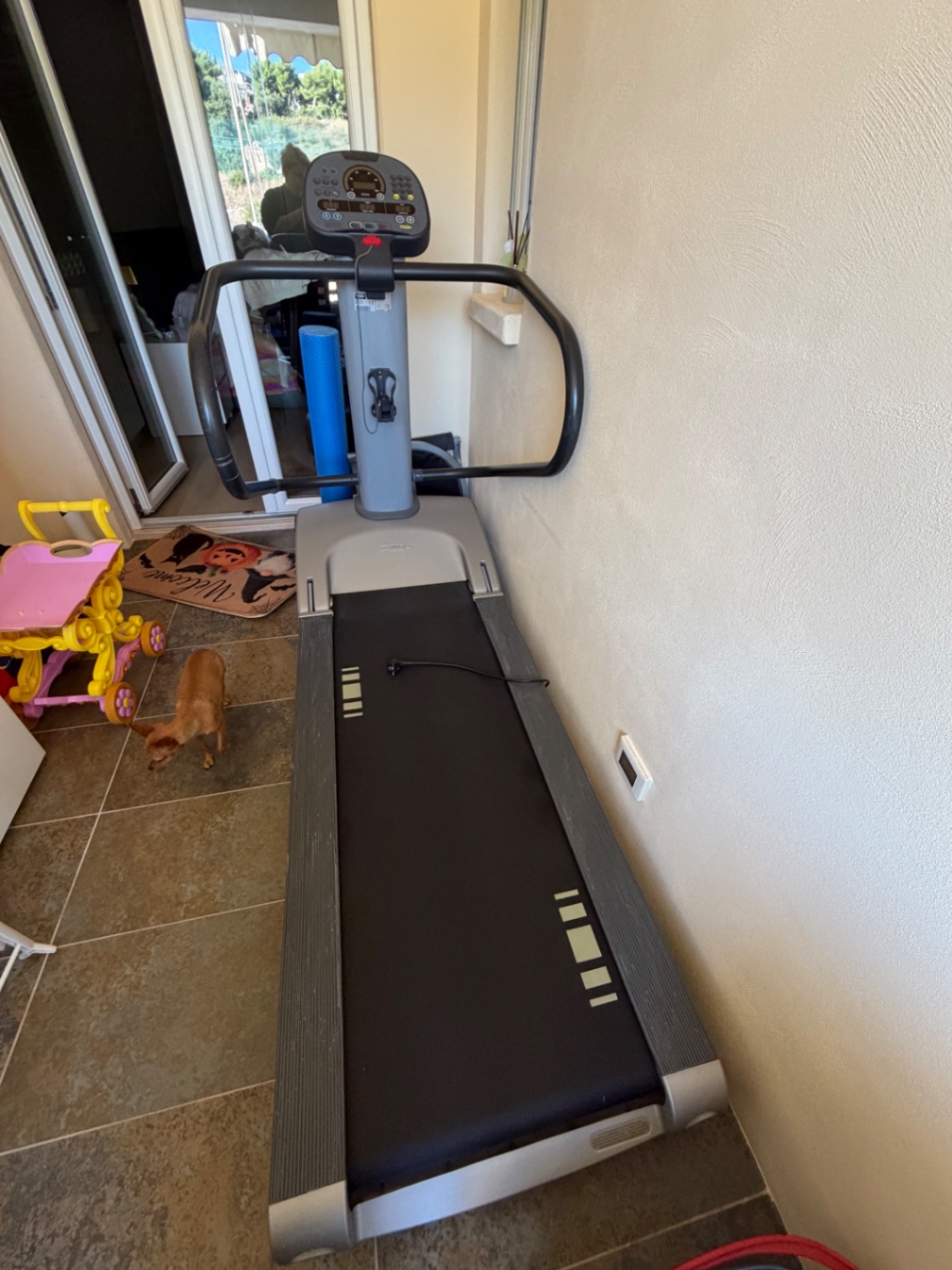Tapis roulant Tecnogym spazio forma