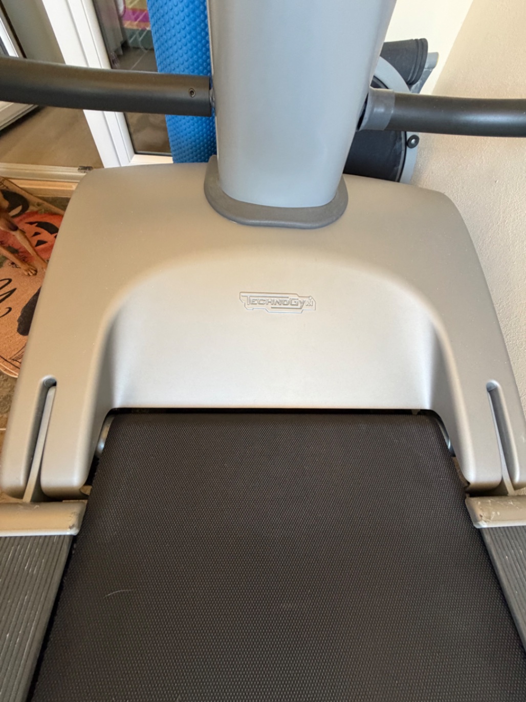 Tapis roulant Tecnogym spazio forma - foto 5