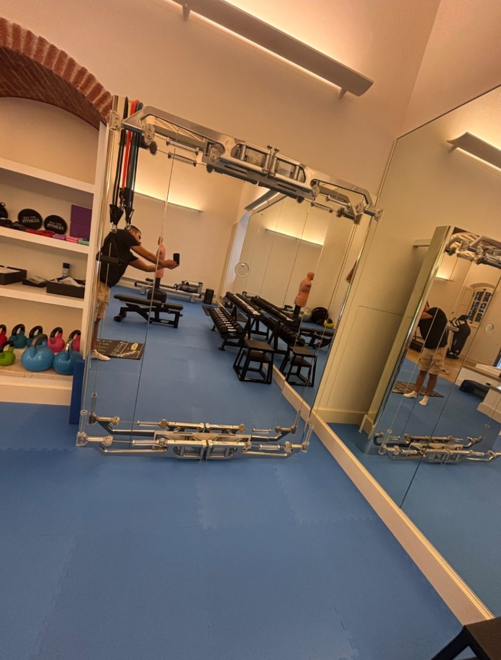 Palestra Domestica Kinesis Personal Vision TechnoGym