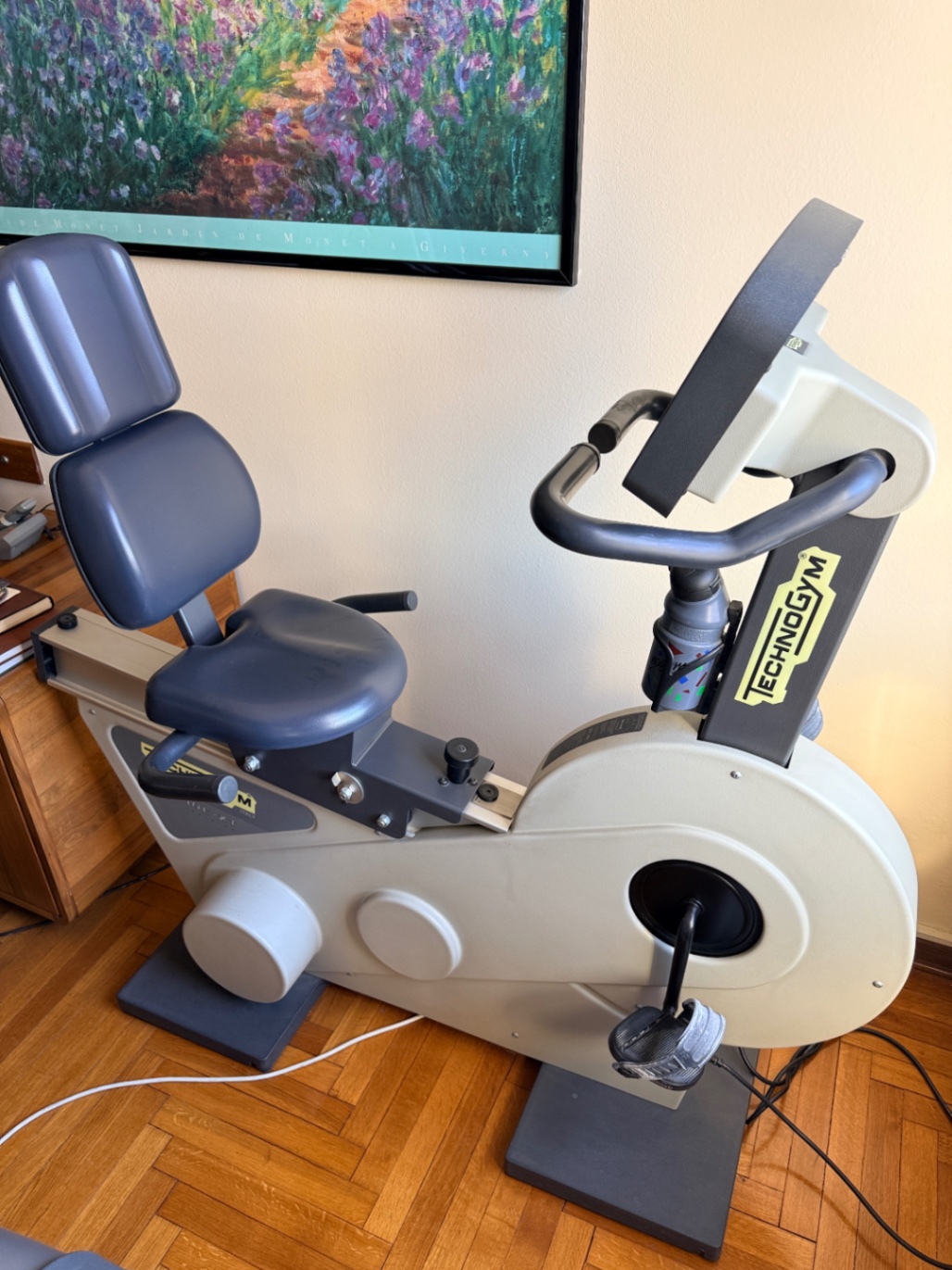 Cyclette Technogym