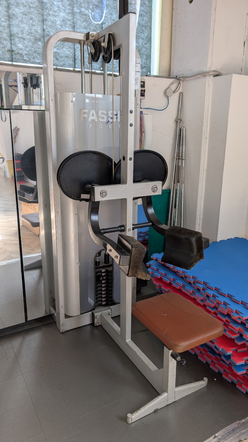 Deltoid Machine