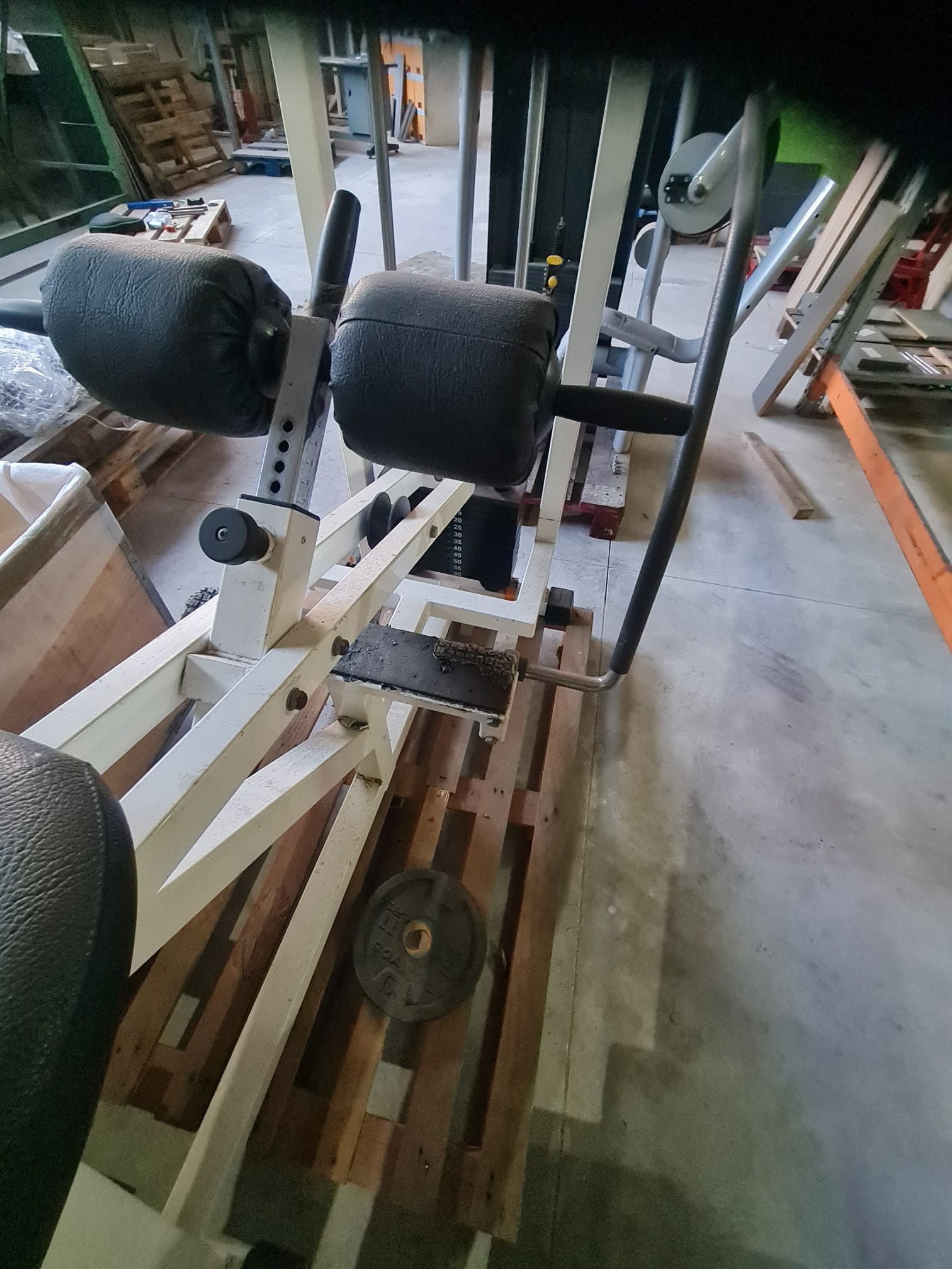 Attrezzi technogym lux