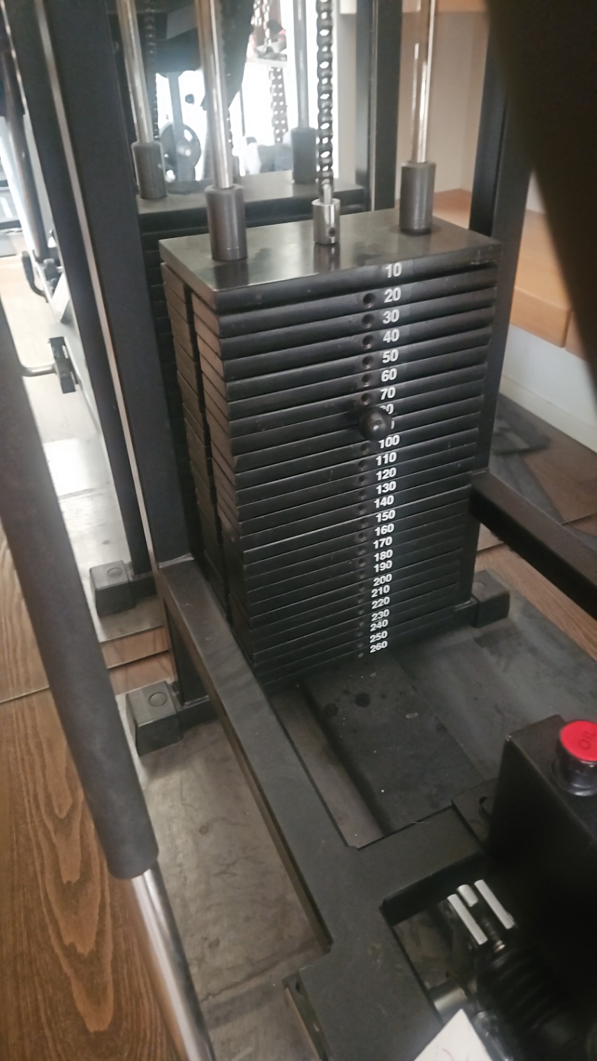 LEG PRESS TECHNOGYM - foto 2